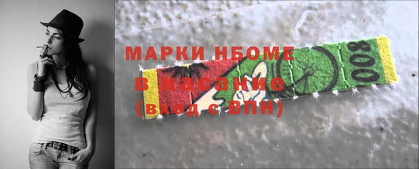 индика Абаза