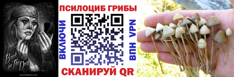 Псилоцибиновые грибы мухоморы  Отрадная 